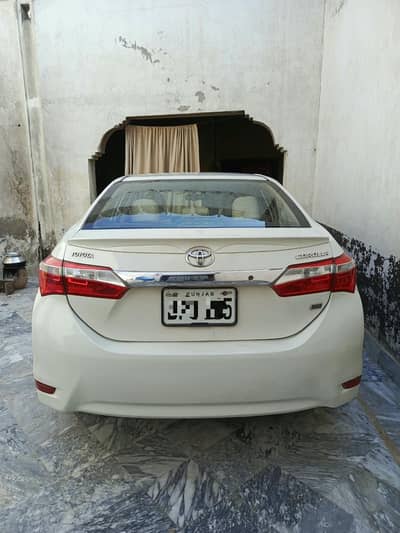corolla 2014/15