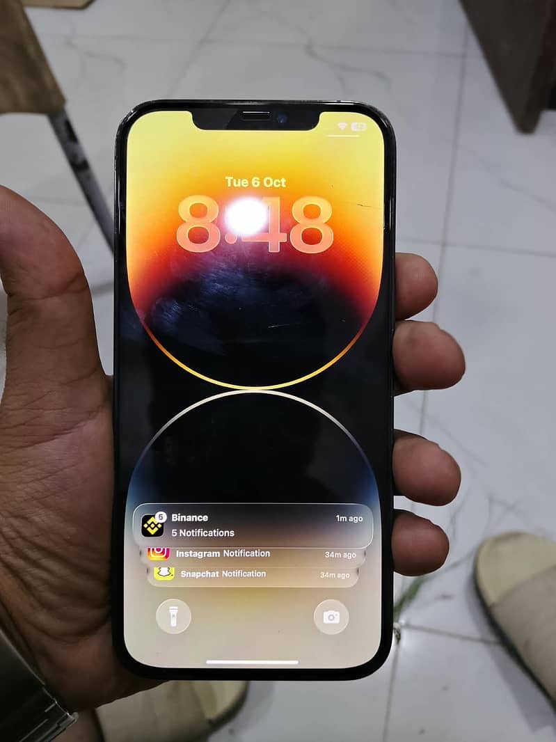 Apple iPhone 12 Pro Max 1