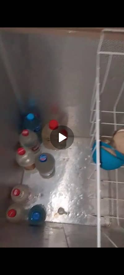 D freezer