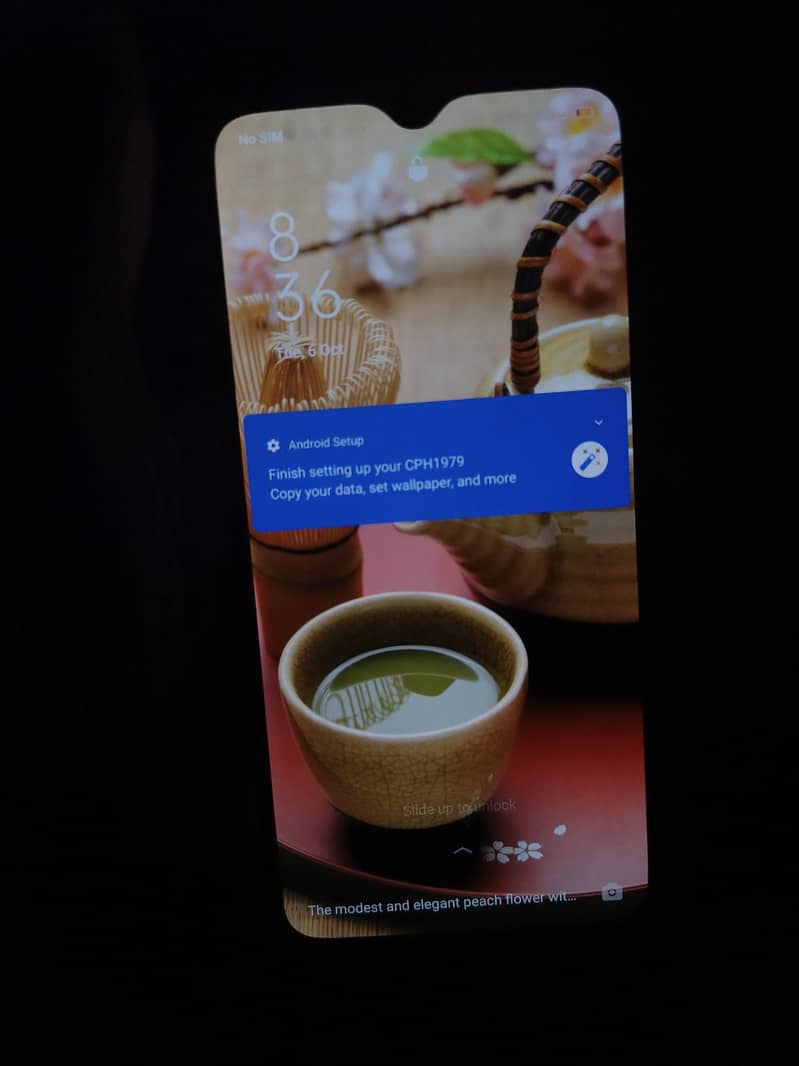 OPPO Reno 6