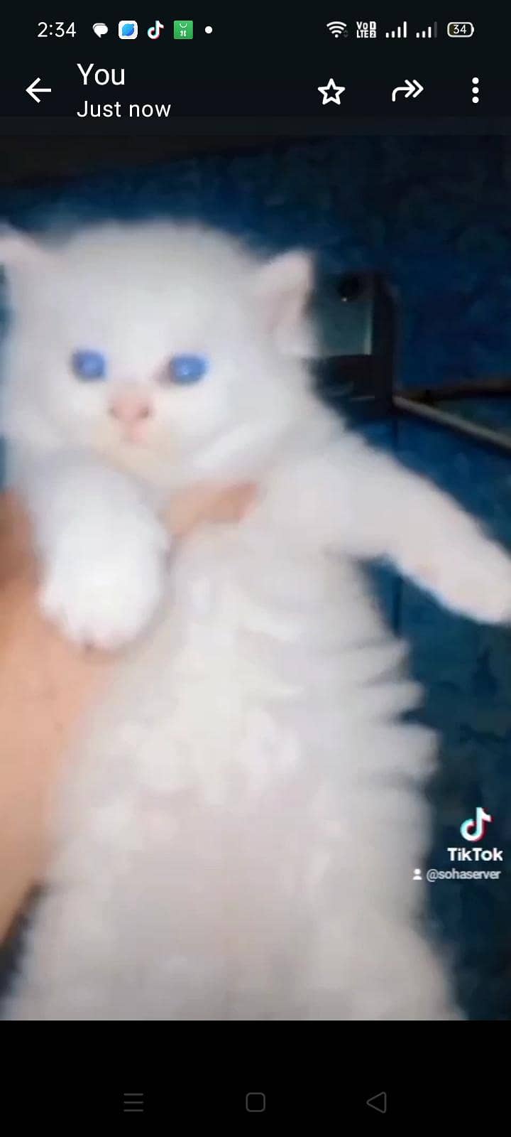 asfand 3
