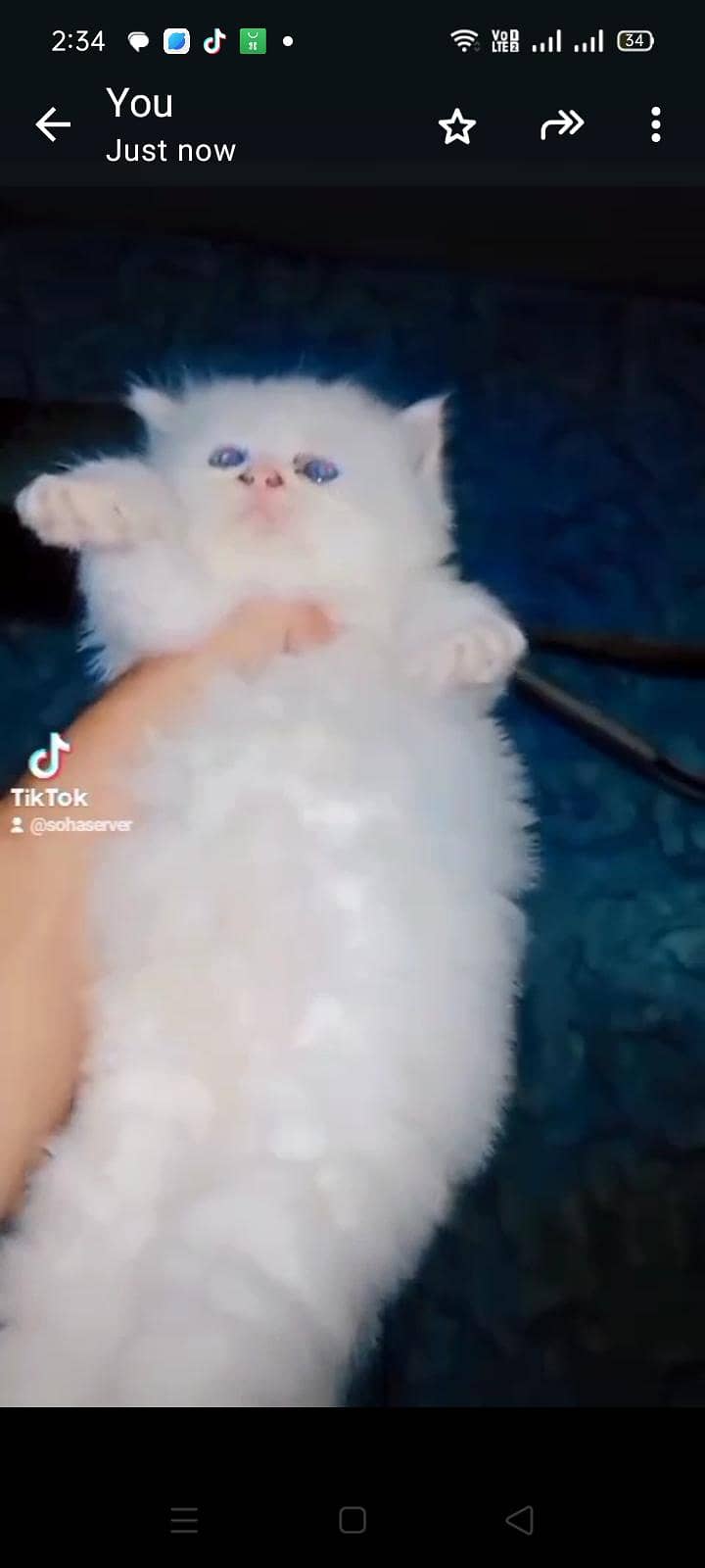 asfand 4