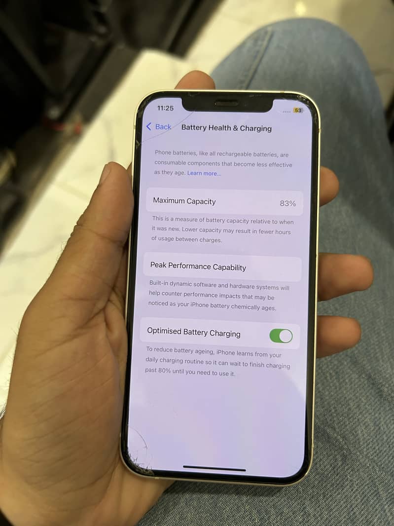 iPhone 12 4