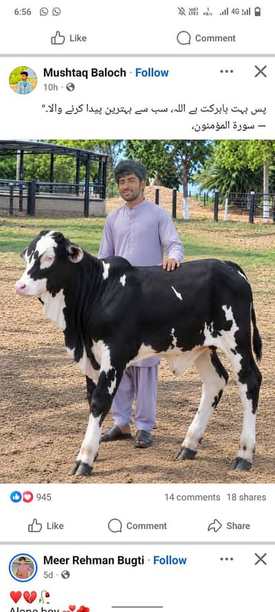 Masha allah