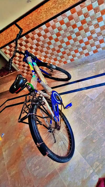 24inch full size Bicycle just like new condition.