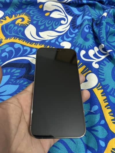 Apple iPhone 12 Pro