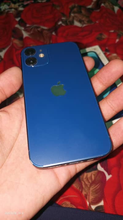 Apple iPhone 12 mini