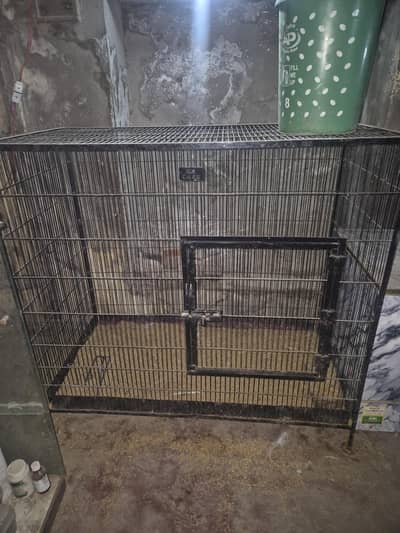 High Quality Murgi / Poultry Cages For Sale