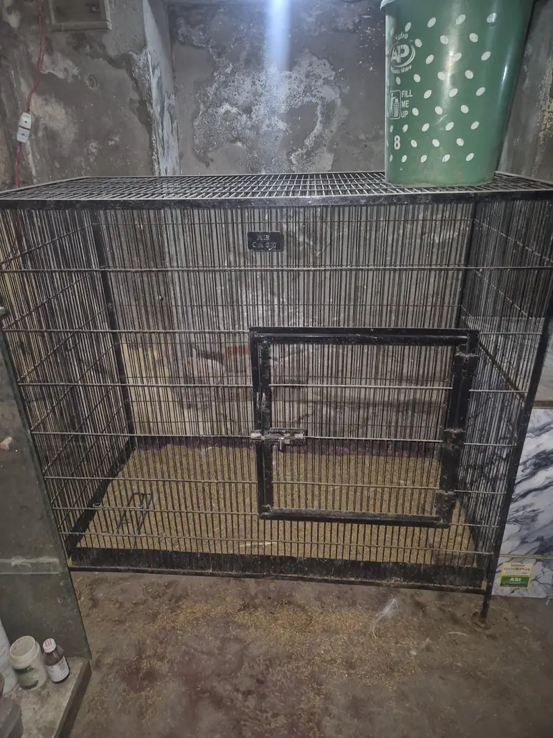 High Quality Murgi / Poultry Cages For Sale