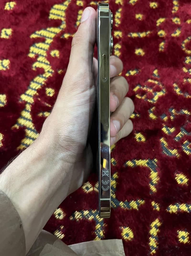Apple iPhone 13 Pro Max 1
