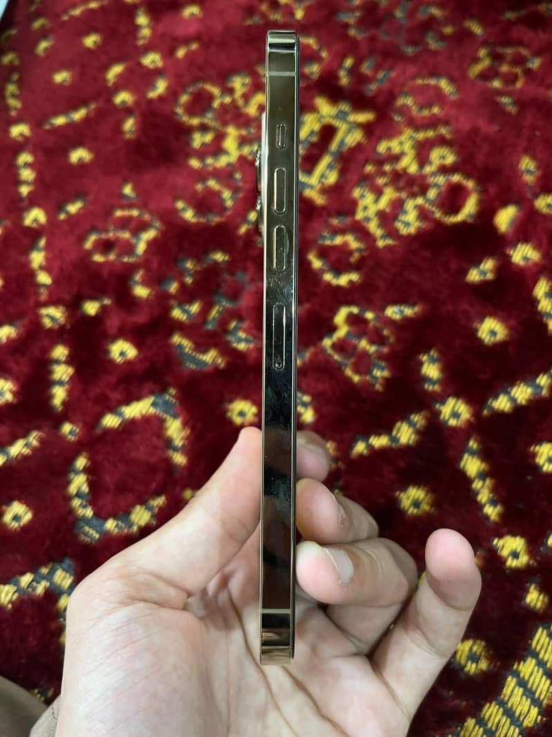 Apple iPhone 13 Pro Max 2