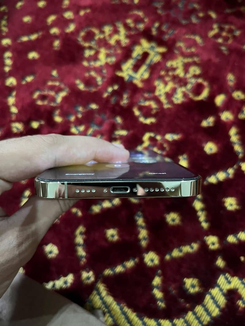 Apple iPhone 13 Pro Max 3