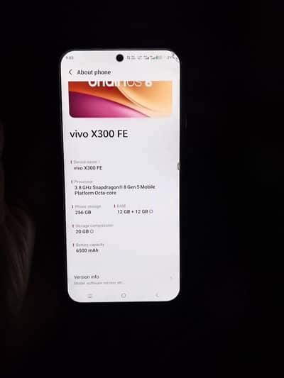 Vivo X300 FE