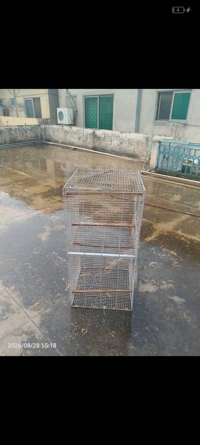 cages for pigeons