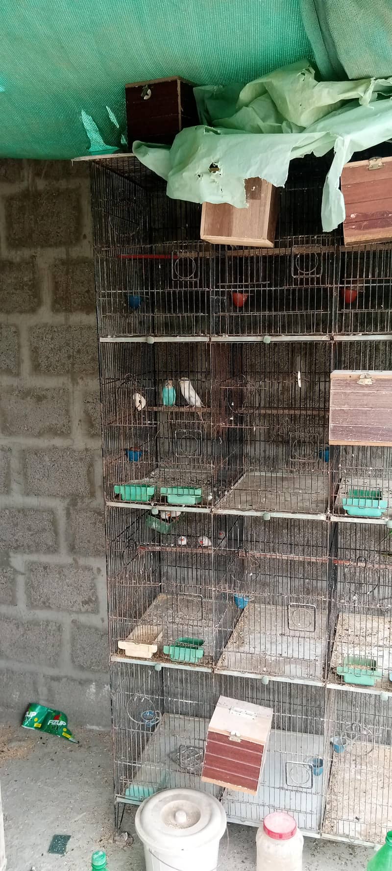 12 potion cage 0