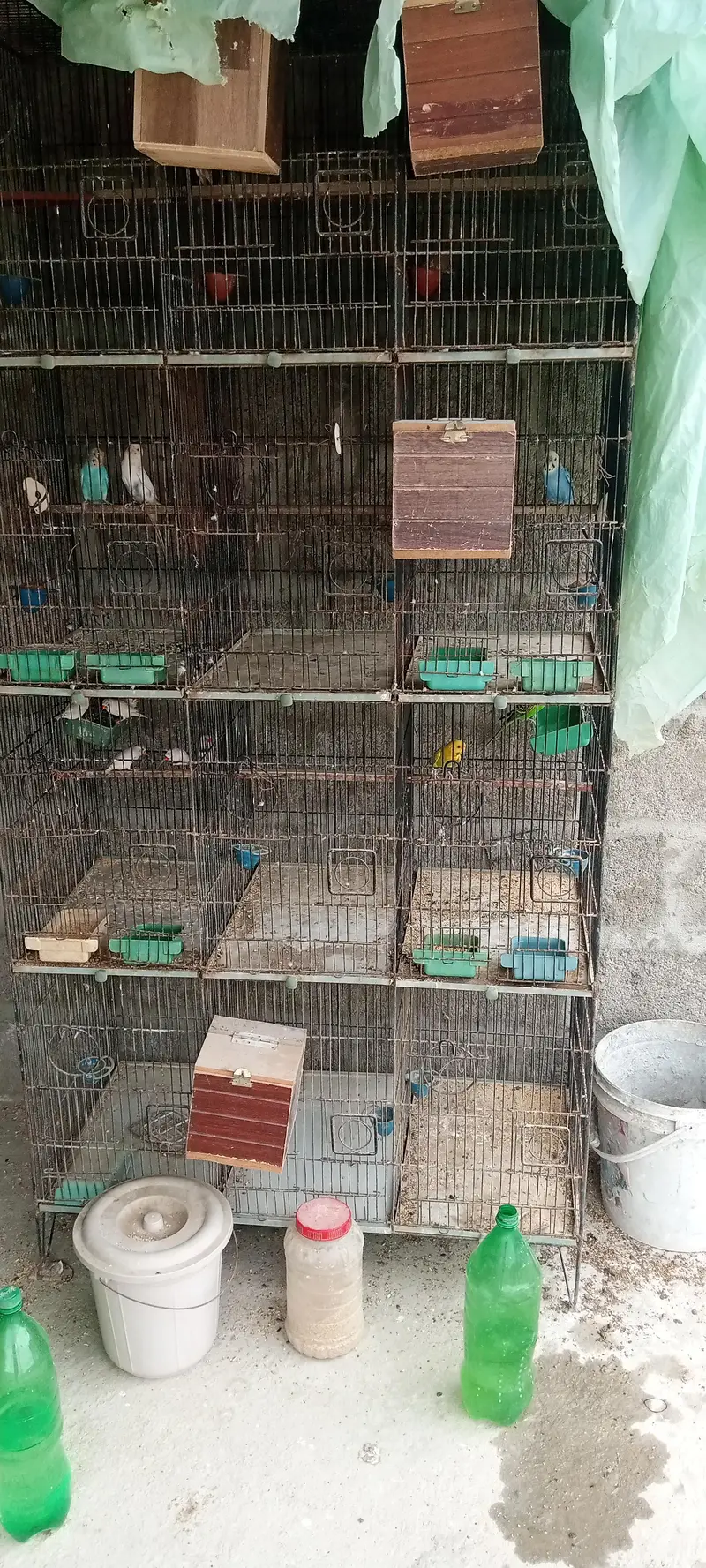 12 potion cage — photo 2