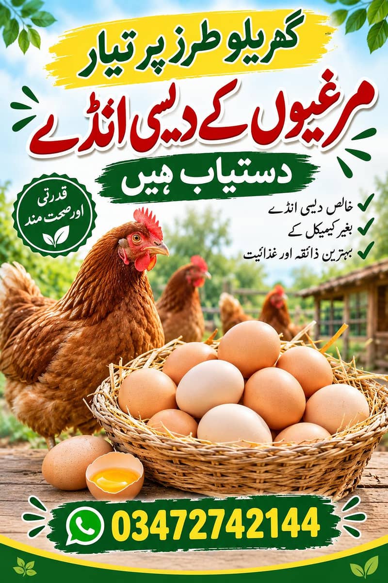 دیسی انڈے حاصل کریں 1
