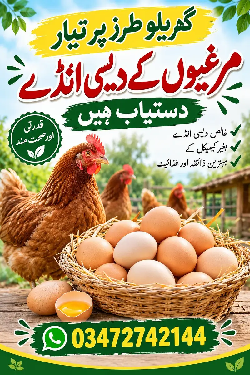 دیسی انڈے حاصل کریں — photo 2