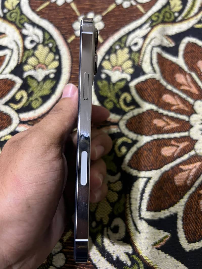 Apple iPhone 13 Pro Max 1