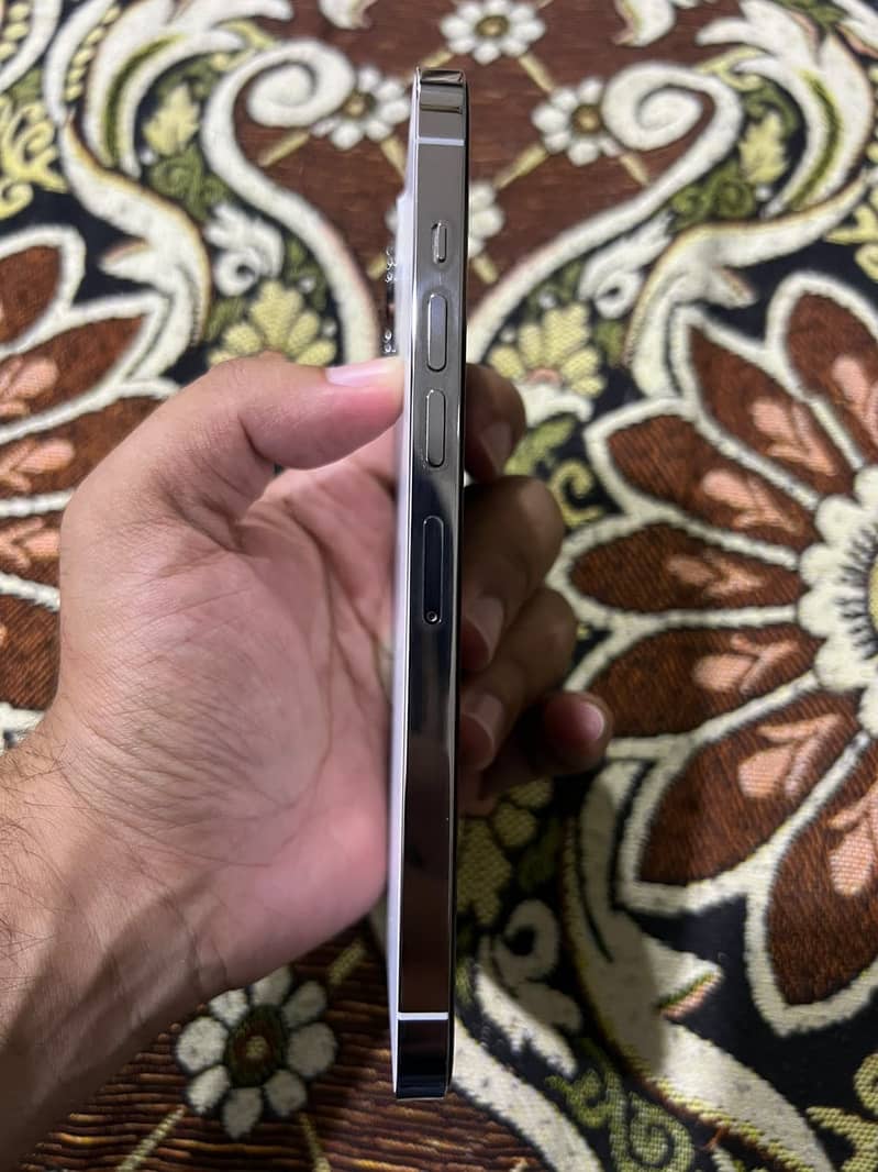 Apple iPhone 13 Pro Max 2