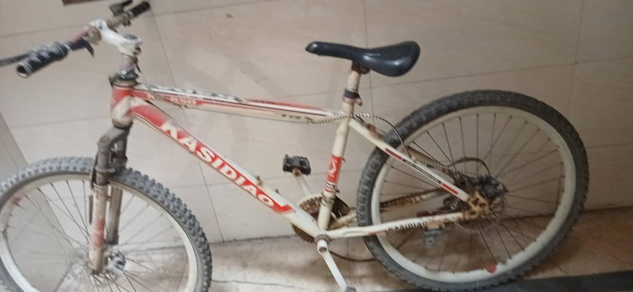 bicycle 0