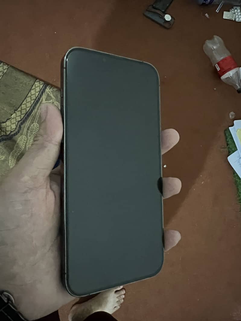 Apple iPhone 13 Pro Max 0