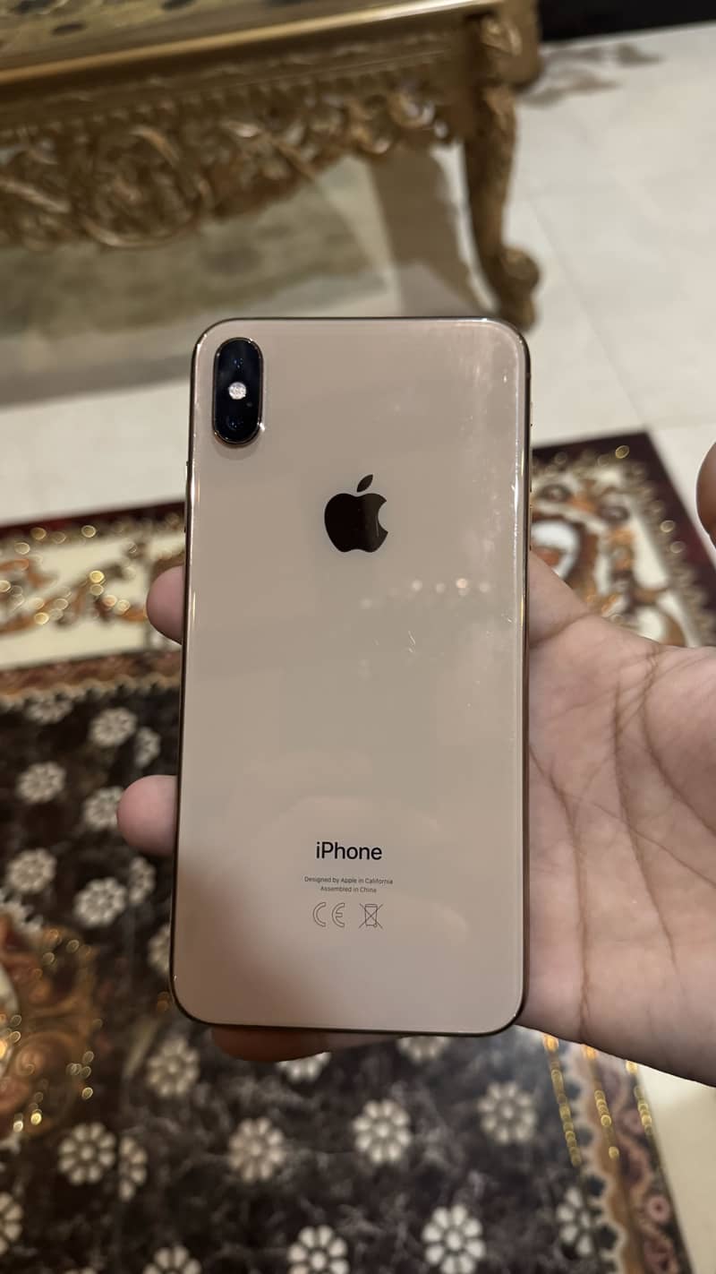 Apple iPhone XS Max 1