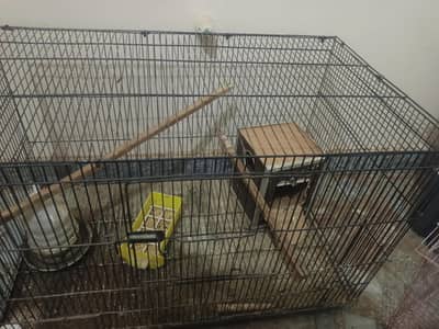 Love Birds Parrots Pinjra cage for Sale