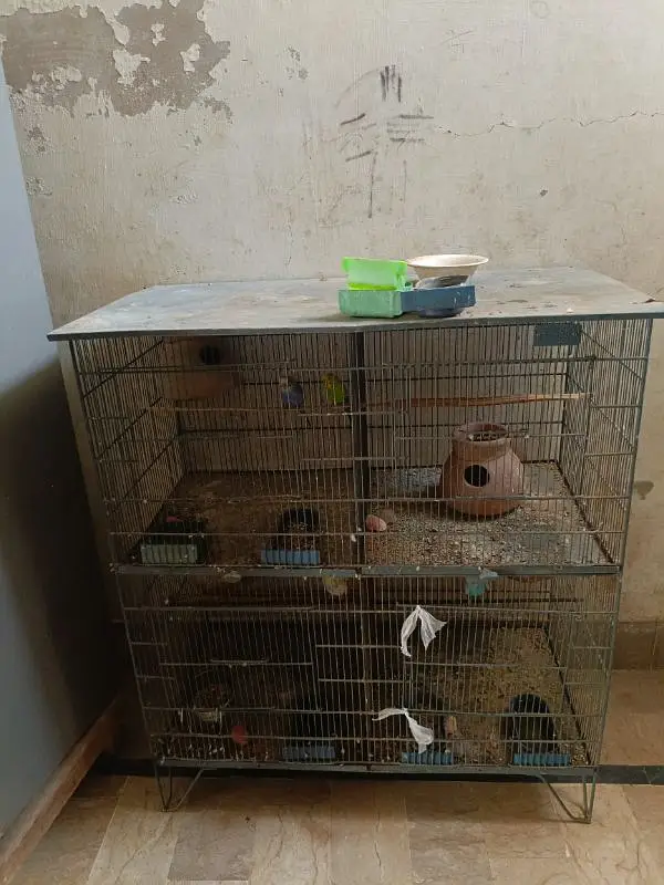 birds cage — photo 2