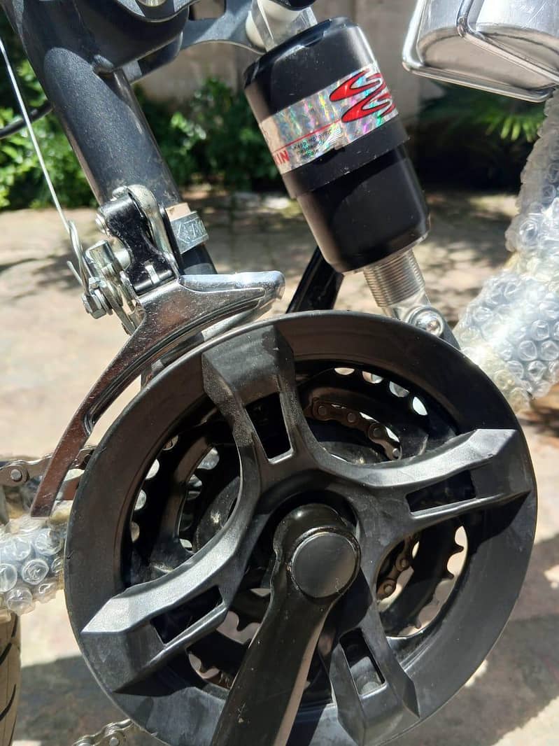 29 inch full size Roxy cycle (imported) 5