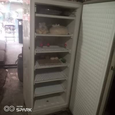 Vertical freezer
