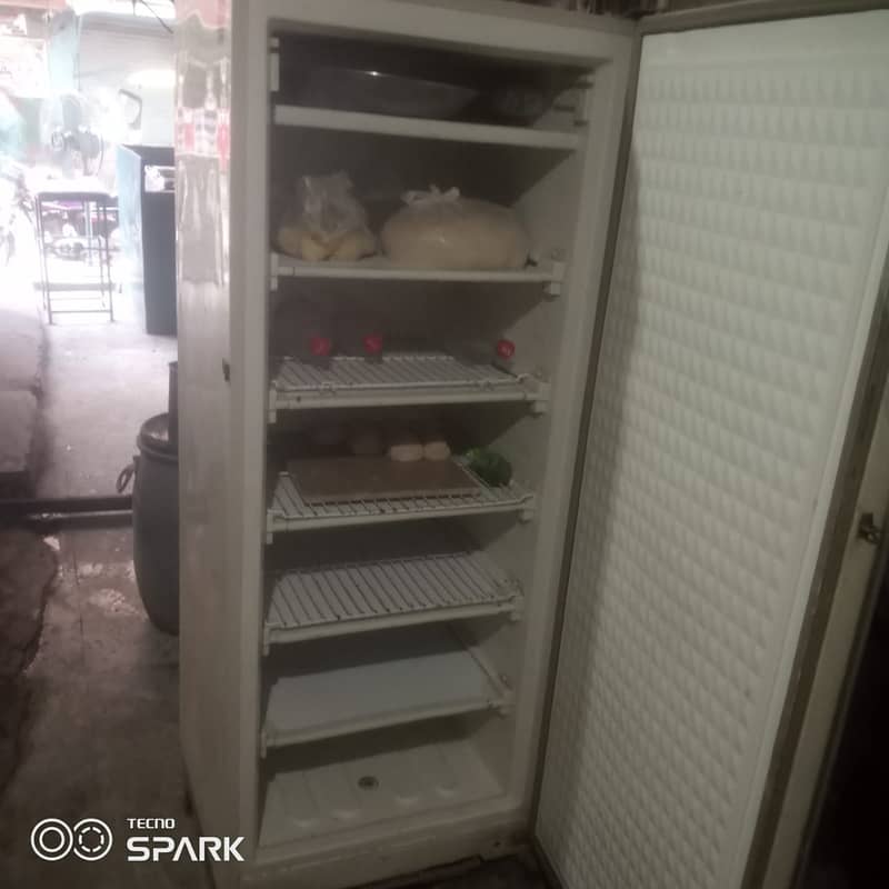 Vertical freezer 0