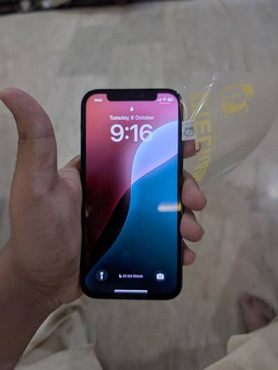 Apple iPhone 12 PTA Approved