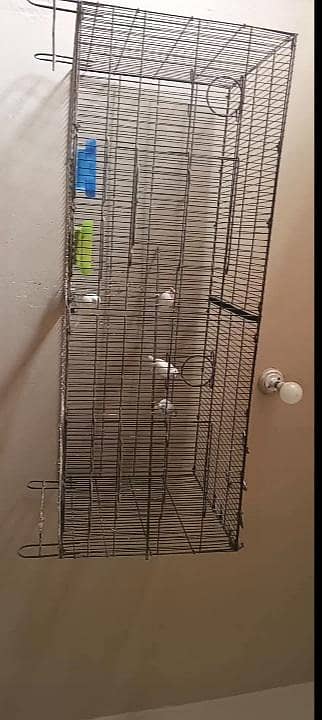 4 java & cage 0