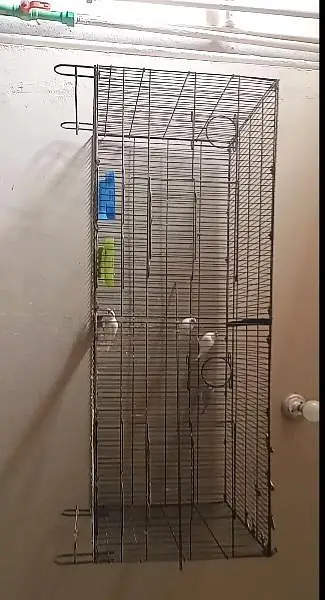 4 java & cage — photo 2