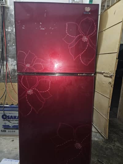 glass door refregritor
