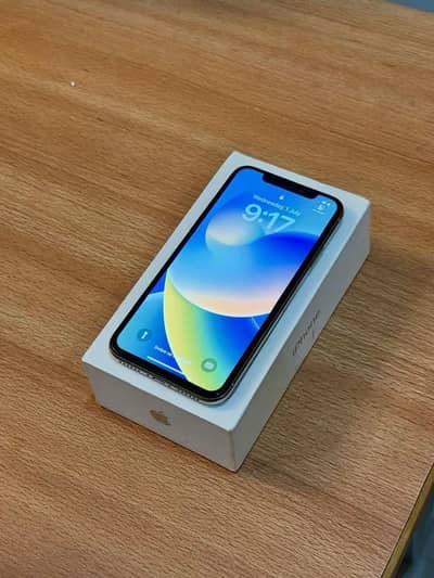 Apple iPhone X