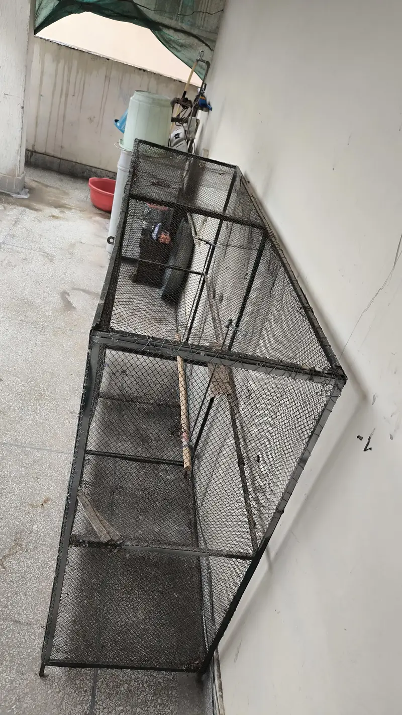cage for sale