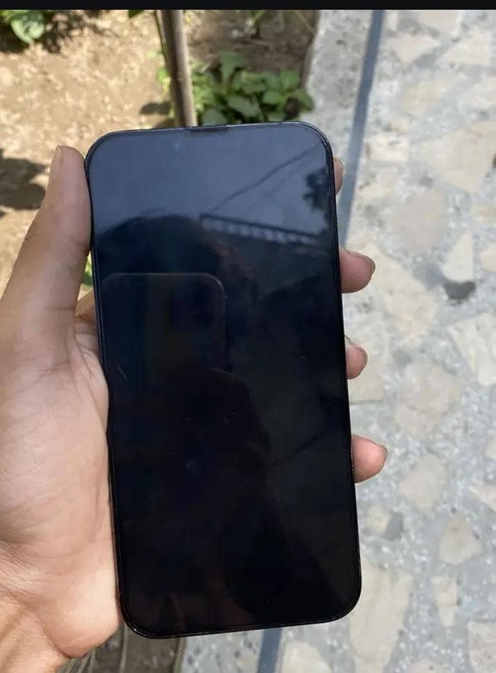 Apple iPhone 13 Pro Max 3