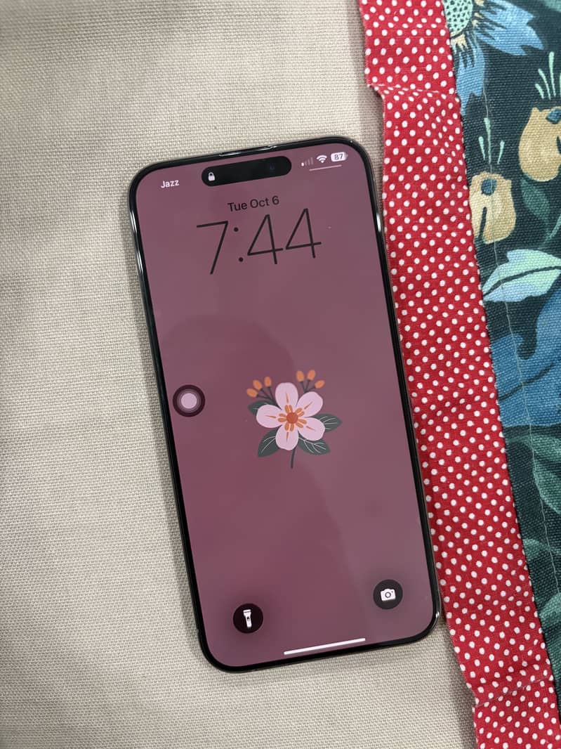 Apple iPhone 15 Pro Max 3