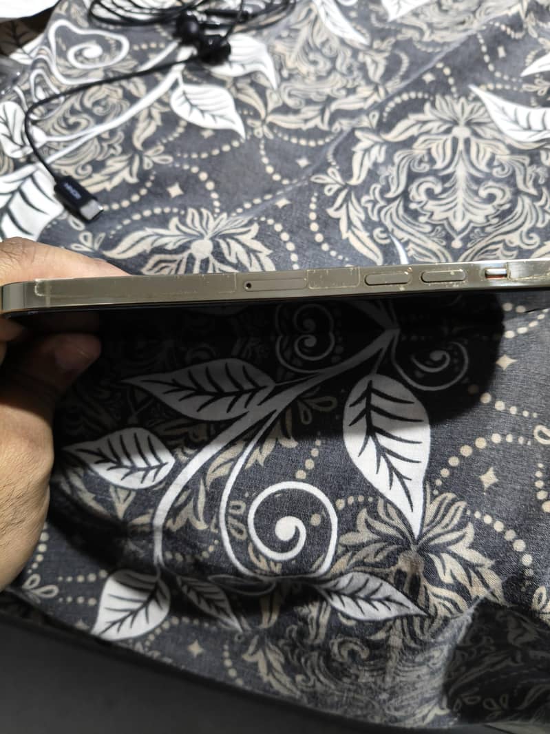 Apple iPhone 12 Pro Max 2