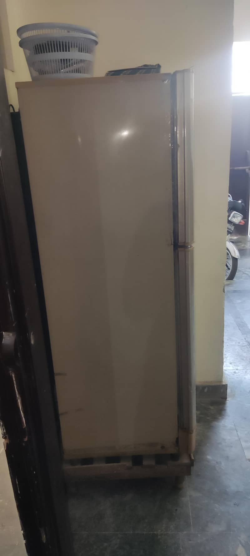 Pell Refrigerator 1