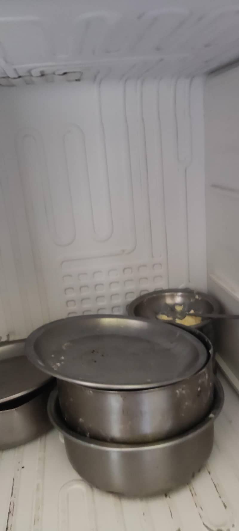 Pell Refrigerator 6