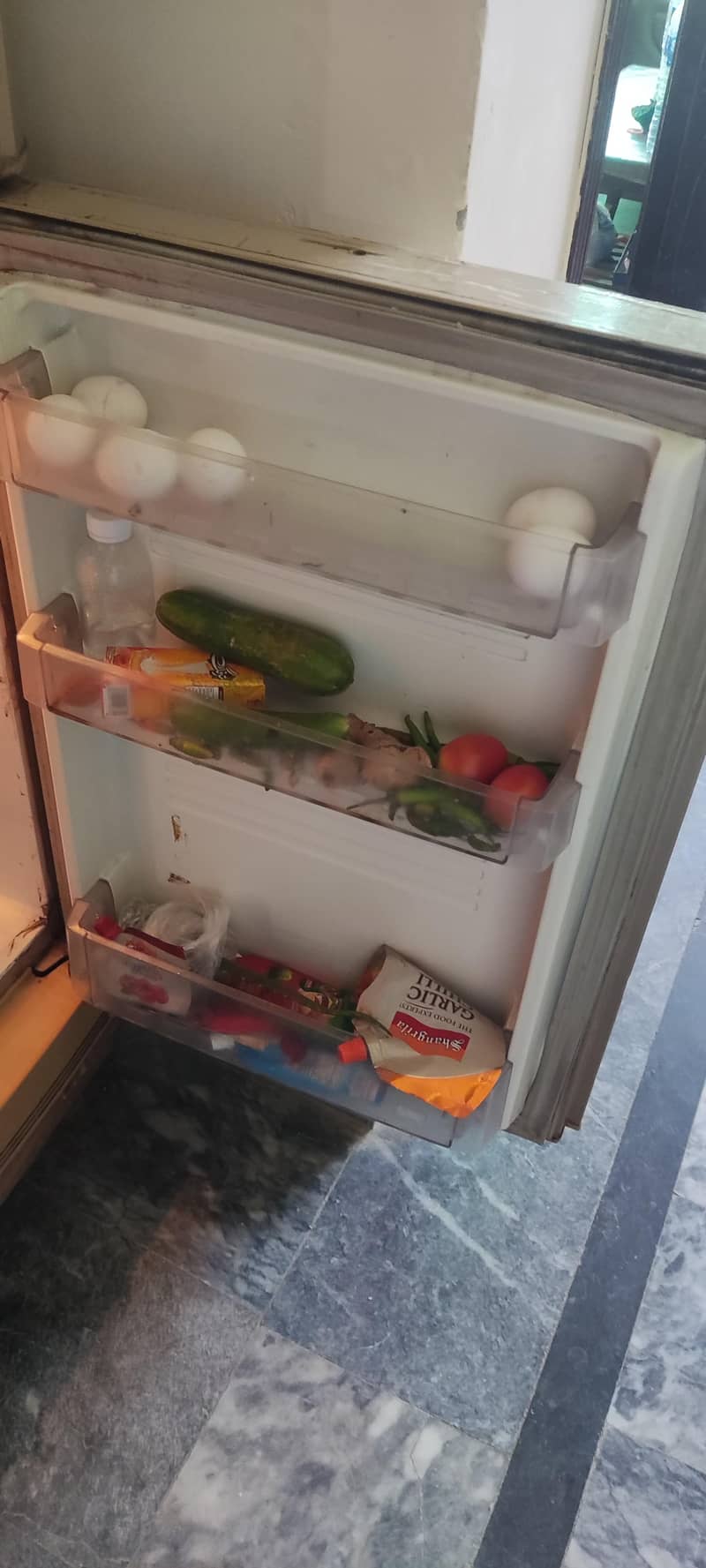 Pell Refrigerator 10