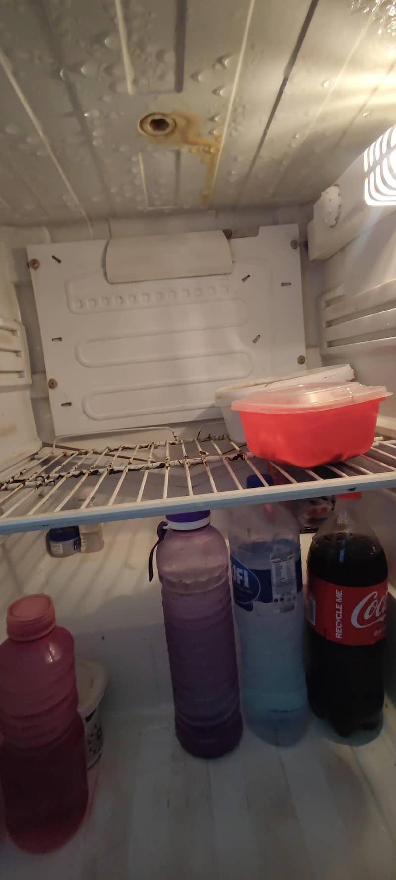 Pell Refrigerator 12