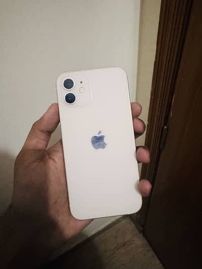 iPhone 12 pta approved