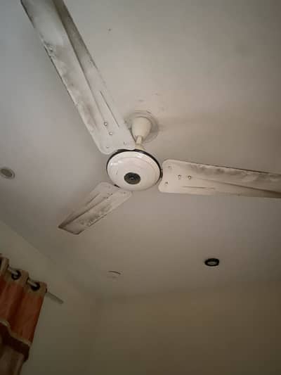 celling fan