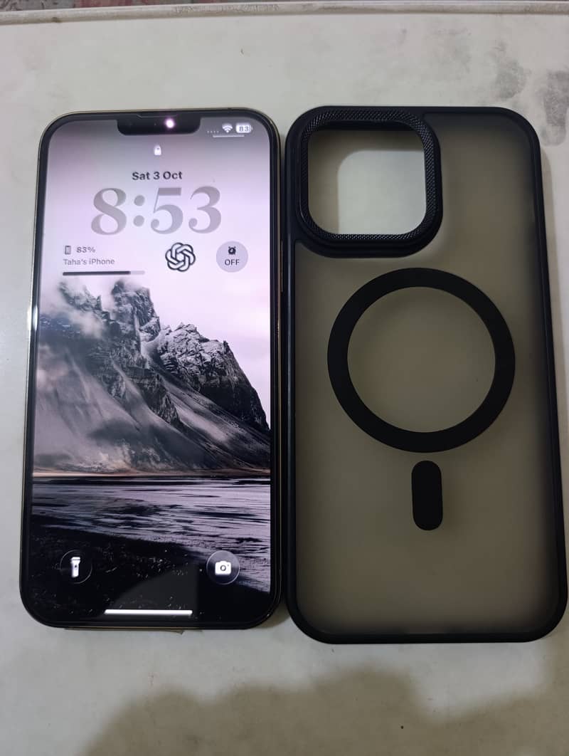 Apple iPhone 13 Pro Max 1