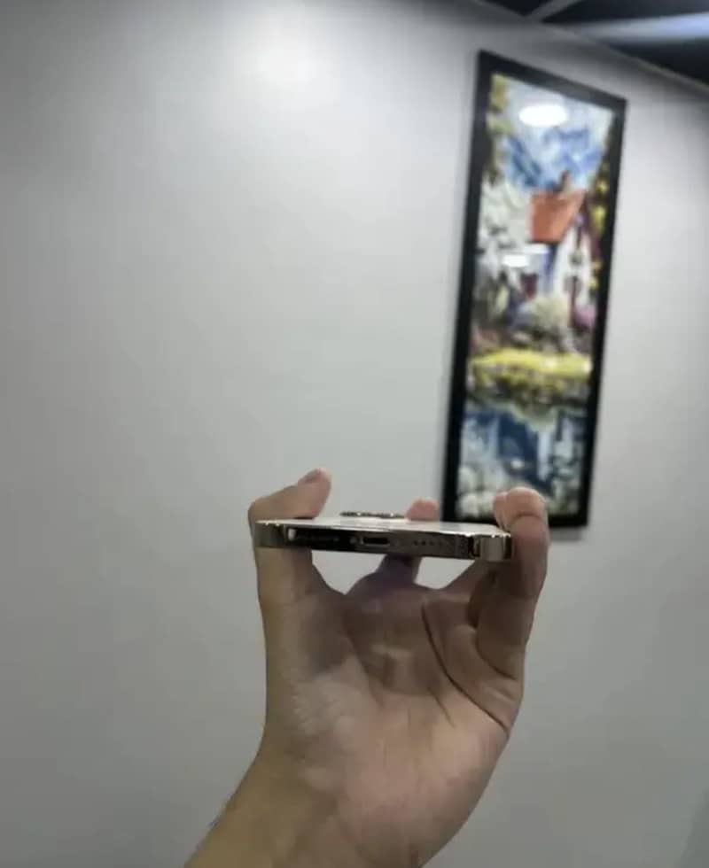 Apple iPhone 12 Pro Max 1