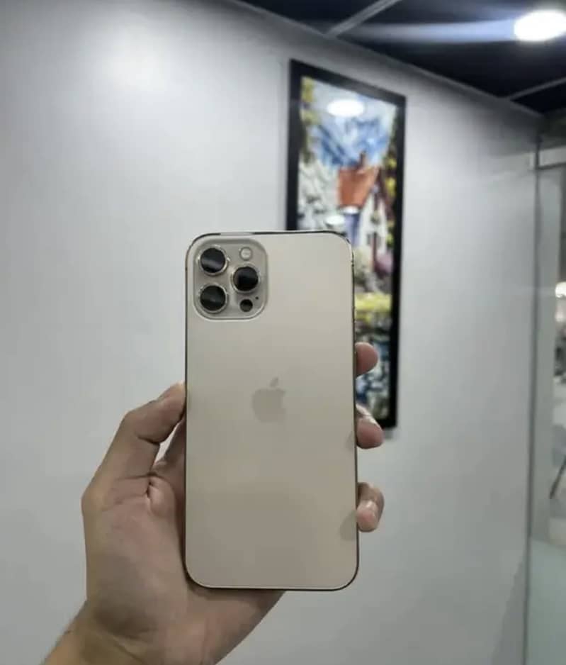 Apple iPhone 12 Pro Max 2